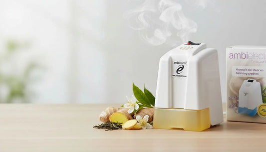 Discover Ambielectric White Tea & Ginger Refill
